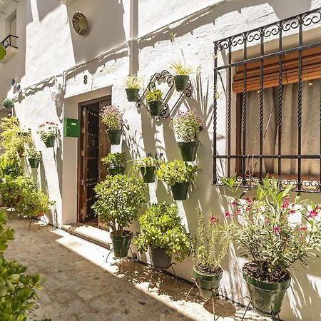 Casa Con Patio Y Terraza En Barrio Historico De La Villa, Junto Al Adarve 普里埃格·德·科尔多巴 外观 照片