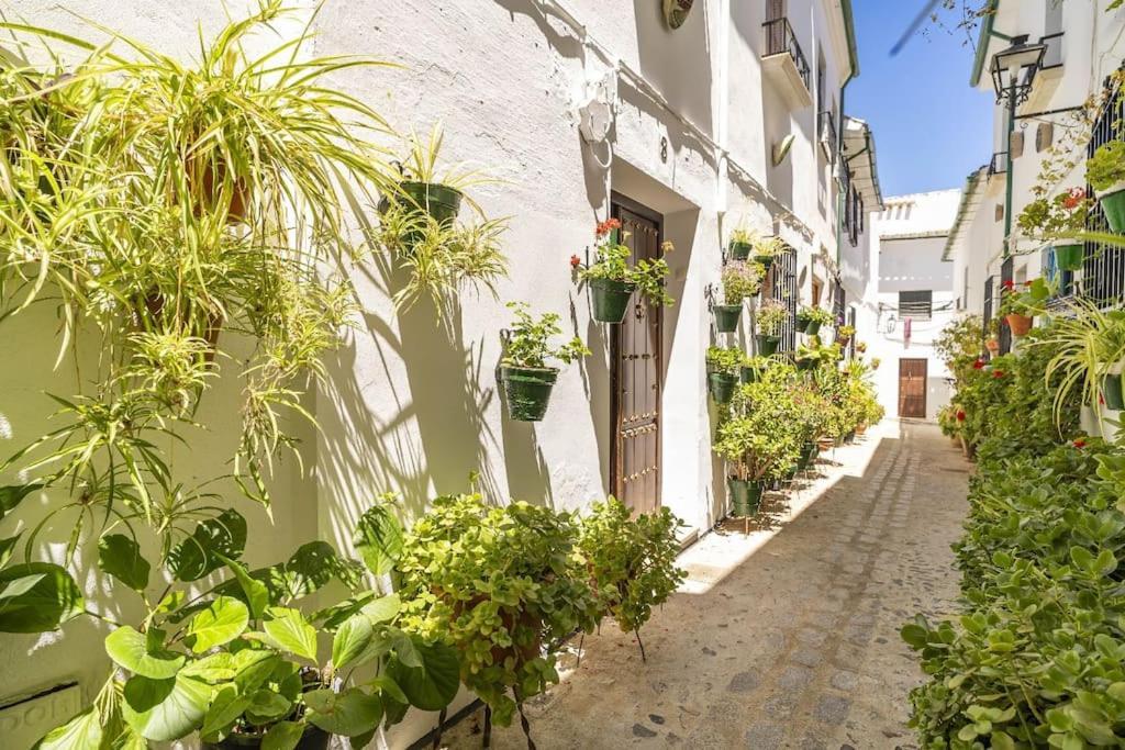 Casa Con Patio Y Terraza En Barrio Historico De La Villa, Junto Al Adarve 普里埃格·德·科尔多巴 外观 照片