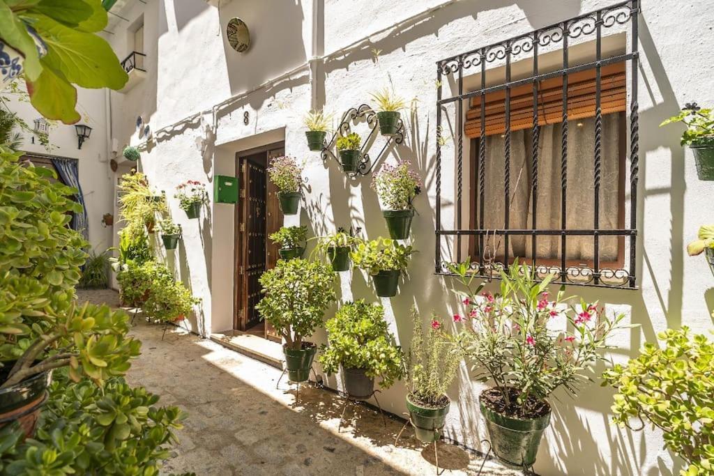 Casa Con Patio Y Terraza En Barrio Historico De La Villa, Junto Al Adarve 普里埃格·德·科尔多巴 外观 照片